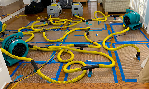 Professional Crawl Space Water Removal technician working in Centreville, MS